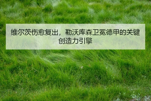 wei-er-ci-shang-yu-fu-chu-lei-wo-ku-sen-wei-mian-de-jia-de-guan-jian-chuang-zao-li-yin-qing-3-962.jpg