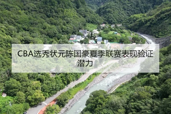 CBA选秀状元陈国豪夏季联赛表现验证潜力