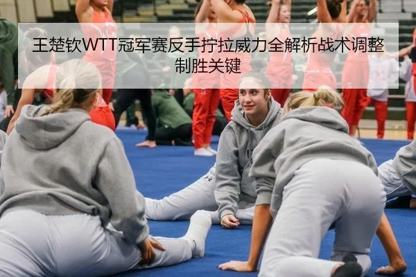王楚钦WTT冠军赛反手拧拉威力全解析战术调整制胜关键